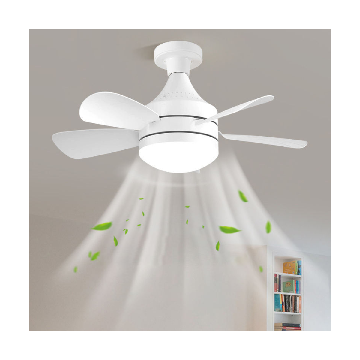 Cirrus Classic Fan Light